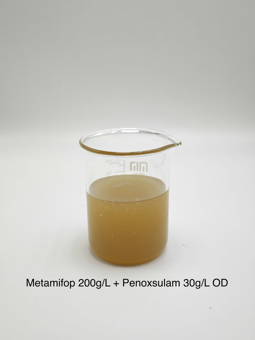 Metamifop 200g/L + Penoxsulam 30g/L OD